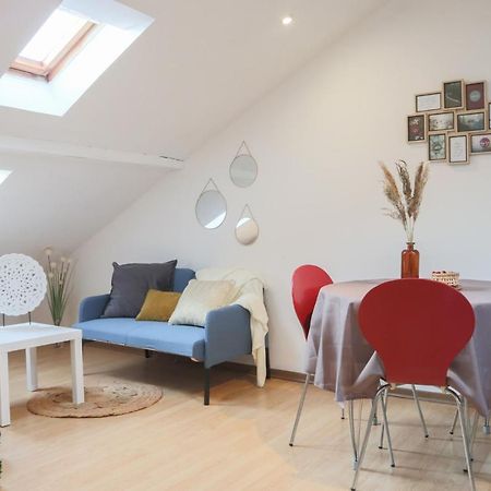 Le Petit Loft, Mulhouse Centre Apartment ภายนอก รูปภาพ