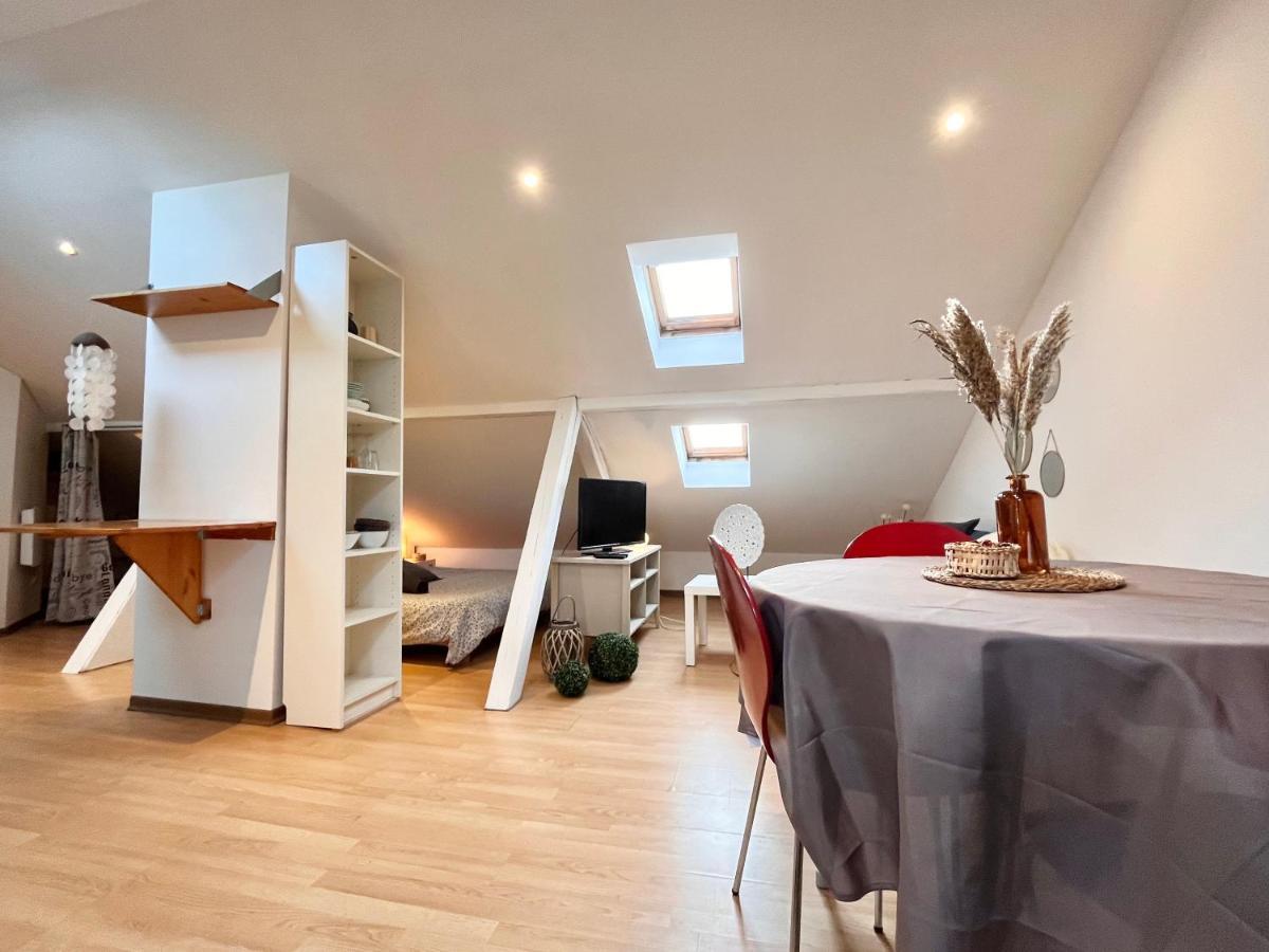 Le Petit Loft, Mulhouse Centre Apartment ภายนอก รูปภาพ
