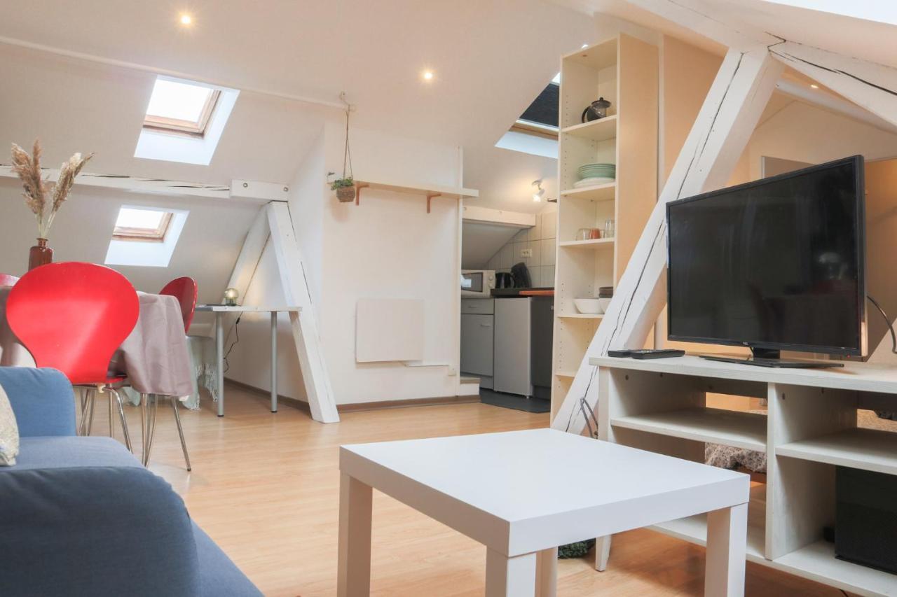 Le Petit Loft, Mulhouse Centre Apartment ภายนอก รูปภาพ