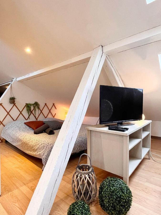 Le Petit Loft, Mulhouse Centre Apartment ภายนอก รูปภาพ
